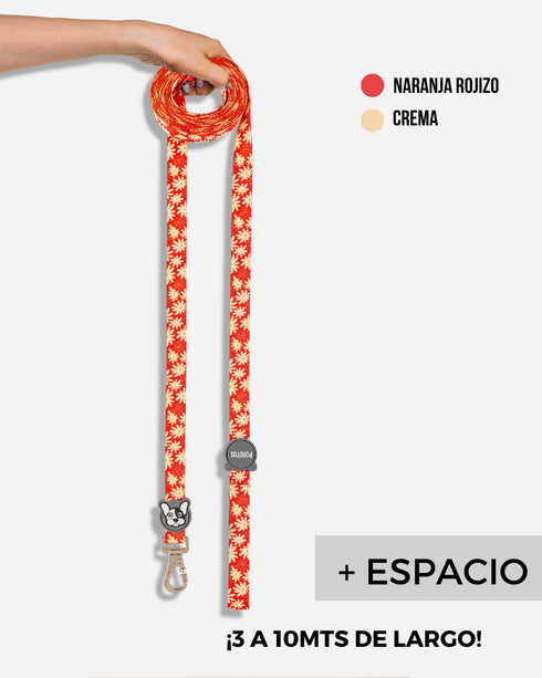 Correa Extra Larga Margarita